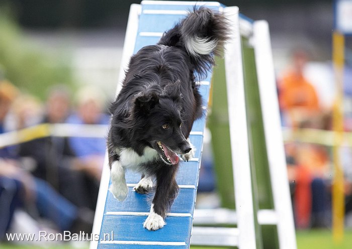 678x473 pixels (60K)